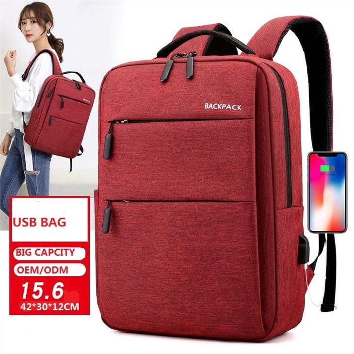 Laptop Rucksack Bag For Men